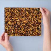 揚げたカイコ... タイのストリートフード チラシ (手)