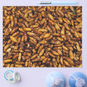 揚げたカイコ... タイのストリートフード チラシ (シングル)