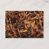 揚げられていたバッタ(Takkataen Thot)のアジア食糧 名刺 (裏面)