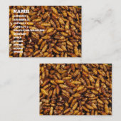 揚げられていた絹みみずの…タイの通りの食糧 名刺 (正面/裏面)