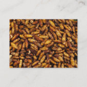 揚げられていた絹みみずの…タイの通りの食糧 名刺 (裏面)