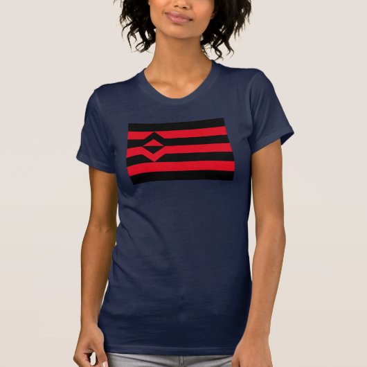 握りこぶし プライド フラッグ Tシャツ (正面)