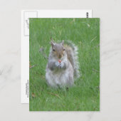 握りリス ポストカード (正面/裏面)
