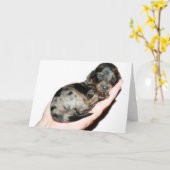 握り カード (黄色い花)