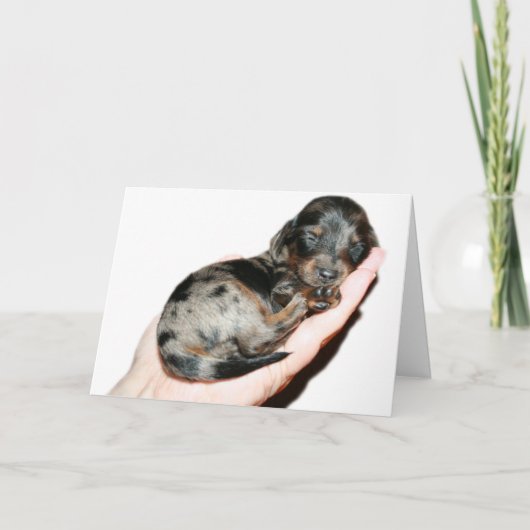 握り カード (正面)