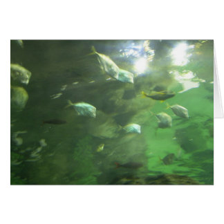揺らめく魚