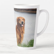 揺るぎない信感動的念