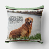 揺るぎない信感動的念 クッション (正面)