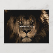 揺るぎない王国 ポストカード (裏面)