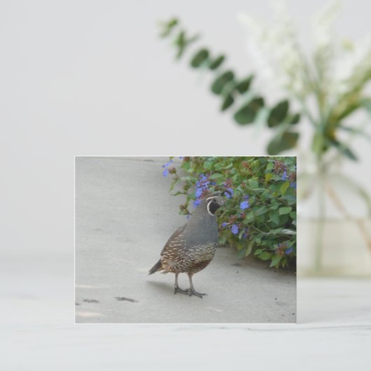 揺れる ポストカード (スタンド正面)