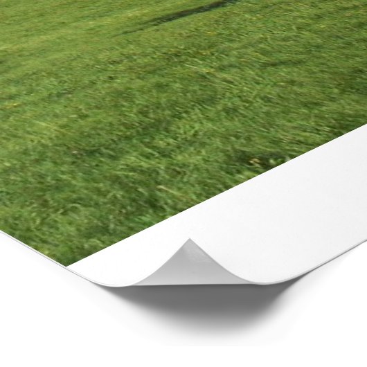 揺れ ポスター (角)