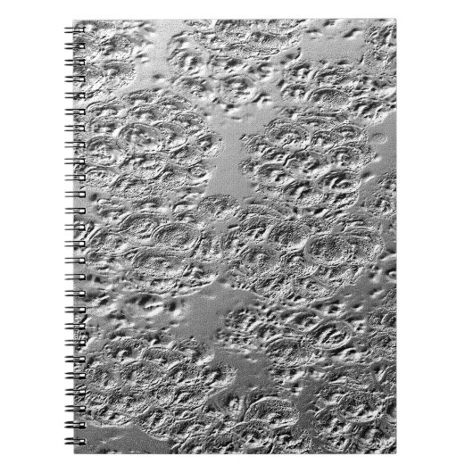 損傷した銀金属 ノートブック (正面)