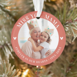 損失キープサケの写真モダン オーナメント