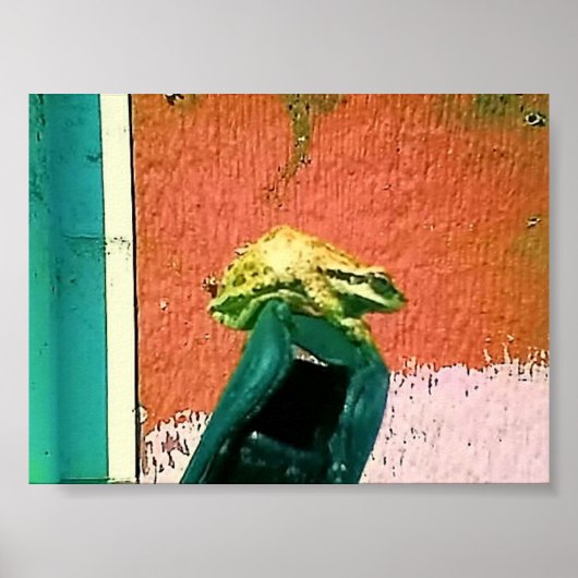 携帯電話のケースに入ったカエル ポスター (正面)