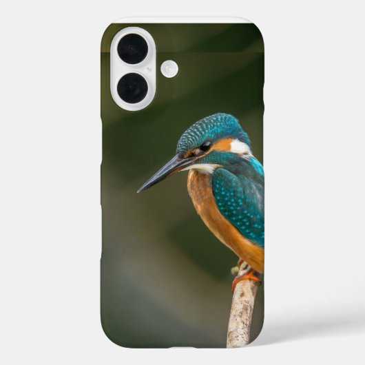 携帯電話のケース Case-Mate iPhoneケース (裏面)