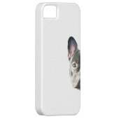 」携帯電話の箱をかいま見ているフレンチ・ブルドッグ「 Case-Mate iPhoneケース (裏面/右)