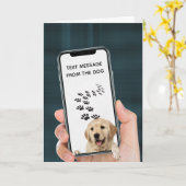 携帯電話の誕生日文字メッセージ カード (黄色い花)