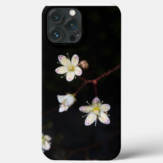 携帯電話のSaxifrageを発見 Case-Mate iPhoneケース (裏面)