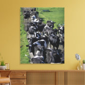 搾乳を待つ乳牛 キャンバスプリント (インサイチュ (リビング))