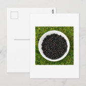 摘まれたばかりのブラッククラント ポストカード (正面/裏面)