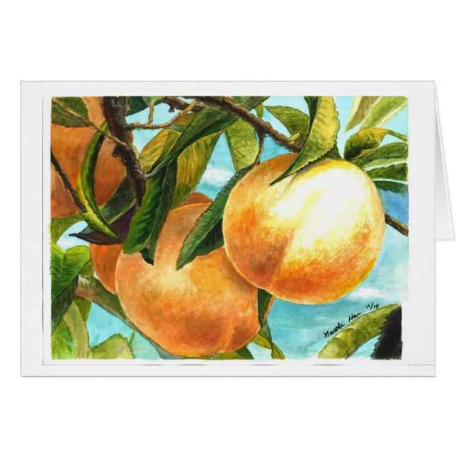 摘み取られること準備ができたモモ (正面横)