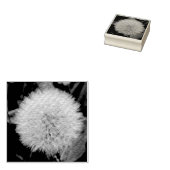 播種タンポポ花ウッドアートスタンプ ラバースタンプ (押印)