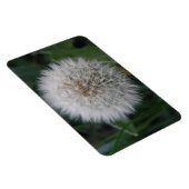 播種タンポポ花プレミアム磁石 マグネット (右側)