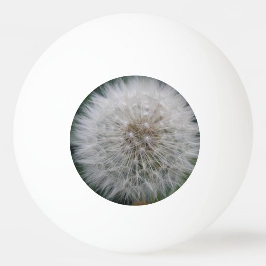 播種タンポポ花卓球 卓球ボール (正面)