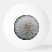 播種タンポポ花卓球 卓球ボール (裏面)
