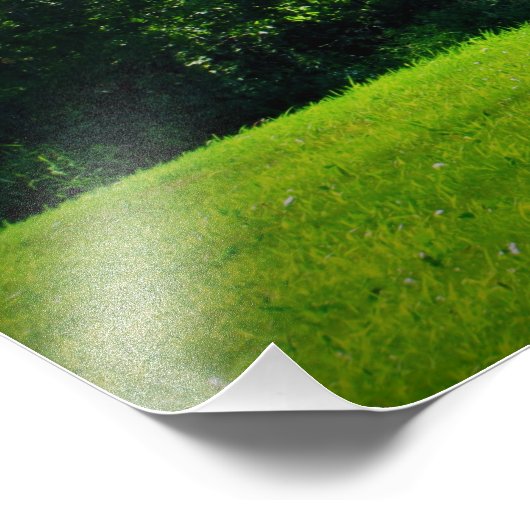 播種機 フォトプリント            (角)