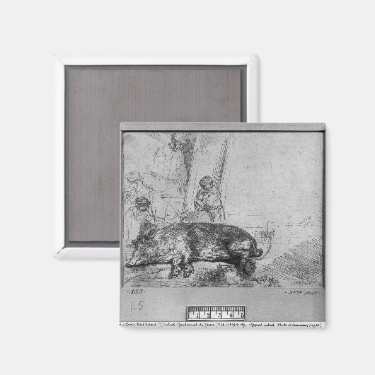 播種， 1643 マグネット (正面/裏面)