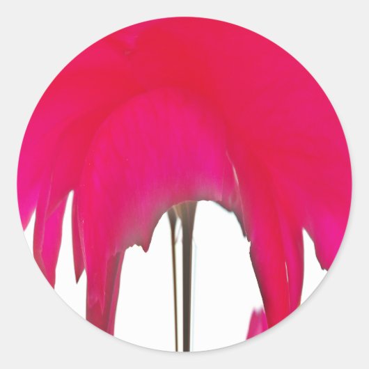 撮影された瞬間:赤いバラの花びらの優雅さ ラウンドシール (正面)