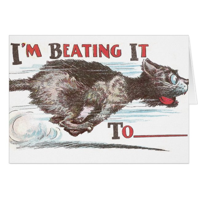 操業のおもしろいな猫 (正面横)