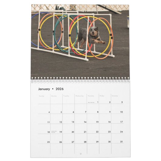 操業の2013匹の犬 カレンダー (1月 2026)