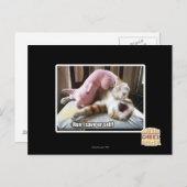 操業! urの自己を救って下さい! ポストカード (正面/裏面)