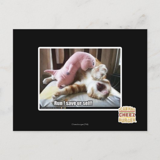 操業! urの自己を救って下さい! ポストカード (正面)