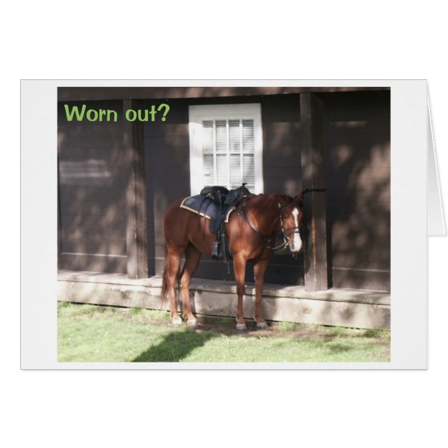 擦り切れたか。 (正面横)