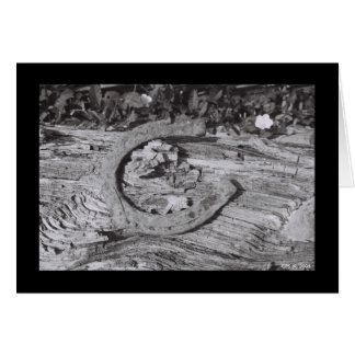 擦り切れたな運