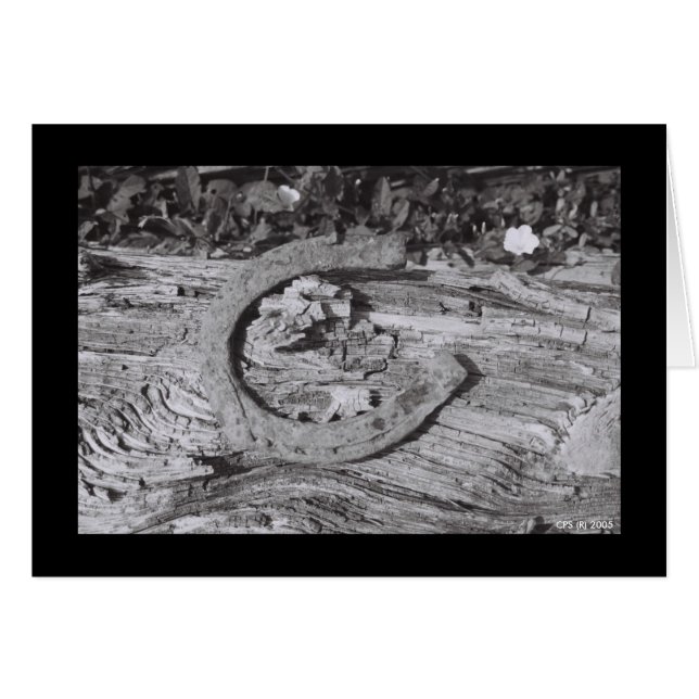 擦り切れたな運 (正面横)