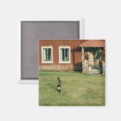 擦り切れた芝生に猫がいる赤い家 マグネット (正面/裏面)