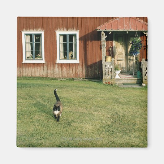 擦り切れた芝生に猫がいる赤い家 マグネット (正面)