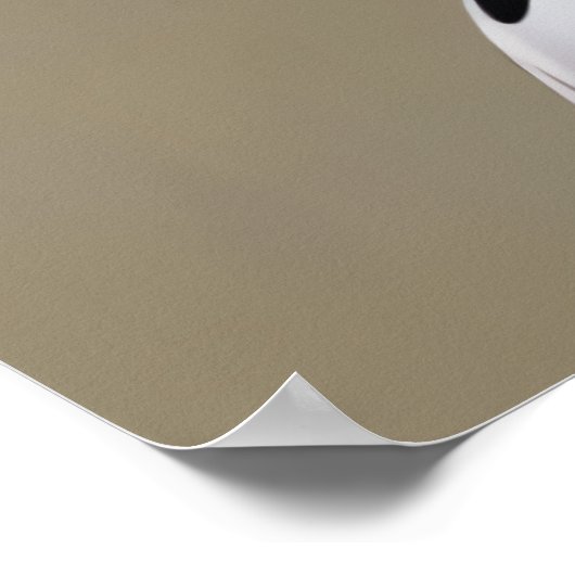 擬人化リンゴの女性 | AIアートポスター ポスター (角)