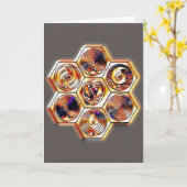 支配カード015 カード (黄色い花)