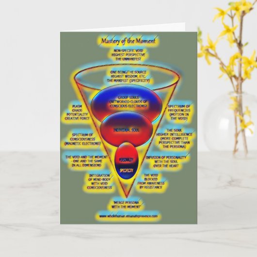 支配カード041 カード (黄色い花)