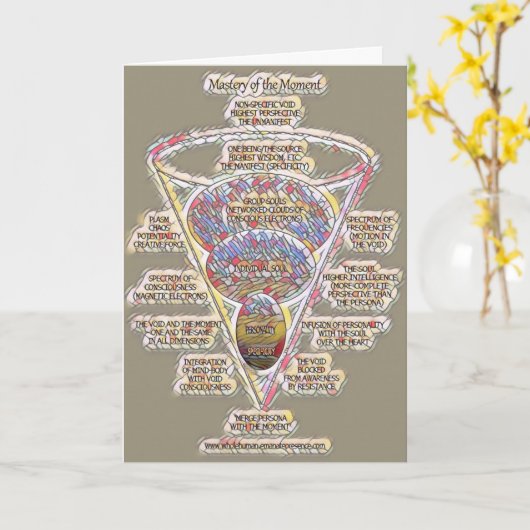 支配カード043 カード (黄色い花)