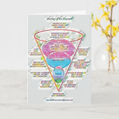 支配カード044 カード (黄色い花)