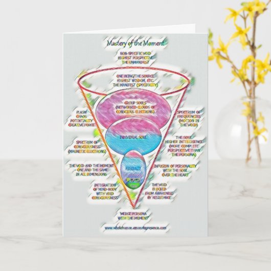 支配カード044 カード (黄色い花)