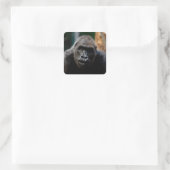 支配的な霊長類ゴリラ類猿人 スクエアシール (バッグ)