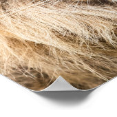 支配 – ライオン、成功、起業家、ジム ポスター (角)