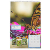 改訂：「翼を取る」 カレンダー (2月 2027)